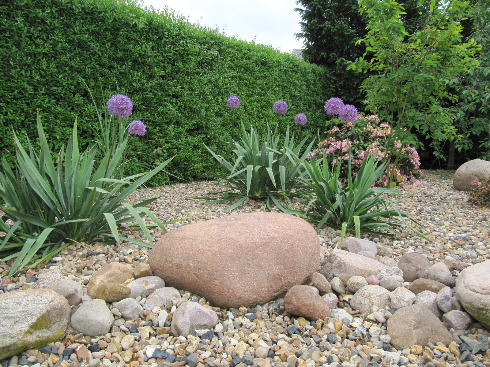 Pflanzen Rasen Steinbach Gartengestaltung